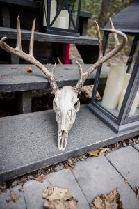 Hoskins_Terrazas_Star Noir Studio_Macabre Nature Micro Wedding_0003_low