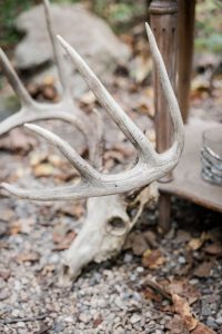 Hoskins_Terrazas_Star Noir Studio_Macabre Nature Micro Wedding_0006_low