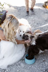 Shoul_Shoul_In Love and Adventure - Elopement Photography_telluride-hiking-elopement-16_low