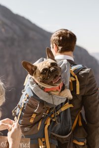 Shoul_Shoul_In Love and Adventure - Elopement Photography_telluride-hiking-elopement-36_low