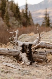 Shoul_Shoul_In Love and Adventure - Elopement Photography_telluride-hiking-elopement-44_low