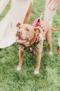 Van Orden_de la Parra_Chloe Malsick Photography_Lisa & Ryan Bridal Party-26-2_low