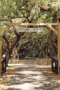 Retro Flower Farm at Wandering Oaks_Love & Artistry_WanderingOaksStyledShoot405_low