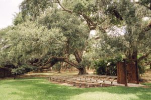 Retro Flower Farm at Wandering Oaks_Love & Artistry_WanderingOaksStyledShoot170_low