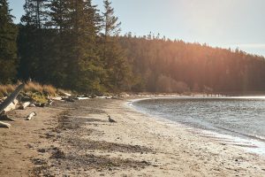 Deception Pass Coastal Elopement_Allison Haley Photography_Deception-Pass-Elopement-Beach-Vows-1_low