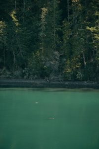 Deception Pass Coastal Elopement_Allison Haley Photography_Deception-Pass-Elopement-Coastal-Overlook-Picnic-1_low