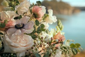 Deception Pass Coastal Elopement_Allison Haley Photography_Deception-Pass-Elopement-Coastal-Overlook-Picnic-16_low