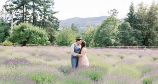 Romantic Lavender Field Engagement Photoshoot around Hood River