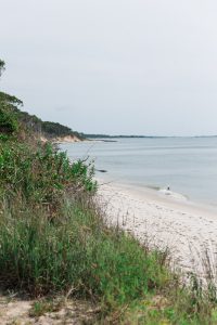Daniella and Fabio’s Elegant Summer Wedding in Cape Charles