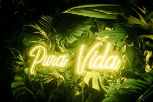 Natalie and Donovan's Tropical Beach Wedding in Playa Flamingo Resort