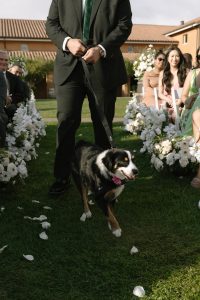 Julia and Leon's Italian Inspired Fall Wedding at Viansa Winery in Sonoma