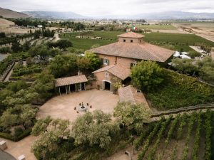 Julia and Leon's Italian Inspired Fall Wedding at Viansa Winery in Sonoma