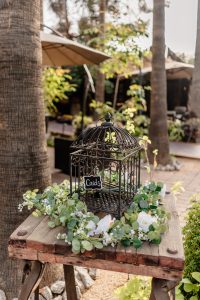 Karina and Michael's Exotic Themed Wedding at Boojum Tree Hidden Gardens