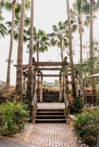 Karina and Michael's Exotic Themed Wedding at Boojum Tree Hidden Gardens