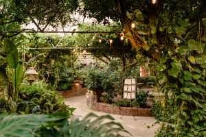 Karina and Michael's Exotic Themed Wedding at Boojum Tree Hidden Gardens