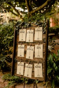Karina and Michael's Exotic Themed Wedding at Boojum Tree Hidden Gardens