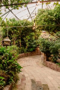 Karina and Michael's Exotic Themed Wedding at Boojum Tree Hidden Gardens