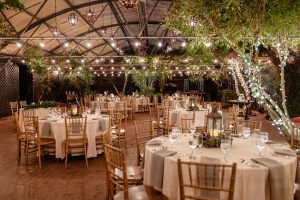 Karina and Michael's Exotic Themed Wedding at Boojum Tree Hidden Gardens