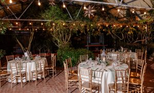Karina and Michael's Exotic Themed Wedding at Boojum Tree Hidden Gardens