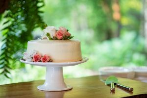 Laurel and Joel’s Sunset Mountain Top Wedding at Hawkesdene