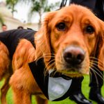 Castillo_Phillips_Paul Douda Photography_028 - Jasmine and Ryan Wedding - Kona Kai_low