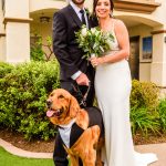 Castillo_Phillips_Paul Douda Photography_114 - Jasmine and Ryan Wedding - Kona Kai_low