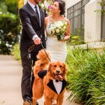 Castillo_Phillips_Paul Douda Photography_185 - Jasmine and Ryan Wedding - Kona Kai_low