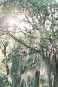 Elletson_Elletson_Melissa Grissom_PROPERTY DETAILS-4_low Alyssa and Trey’s Romantic Wedding with Private Vows and Modern Spring Elegance