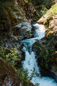 Makemson_Ujvari_The Crawfords Photography_IMG_3302_low Danaea and Adam’s Enchanting Elopement on Mt. Rainier