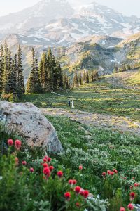 Makemson_Ujvari_The Crawfords Photography_IMG_8060_low Danaea and Adam’s Enchanting Elopement on Mt. Rainier
