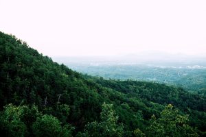 Taylor and Matt's Romantic Destination Wedding Overlooking the Smoky Mountains