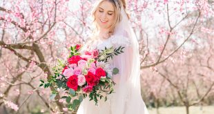 Glowing Spring Bridal Portraits Under Cherry Blossom Trees
