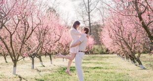 Carolyn and David's Spring Engagement Portraits Under the Glowing Cherry Blossom Trees