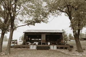 Maddison and Sam’s Intimate and Magical Backyard Micro Wedding