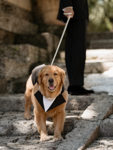 Bouskila_Bouskila_Rock and Love Weddings_ABP01072_low Elegant and Romantic Miami Wedding at Vizcaya Museum and Gardens