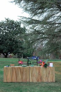 A Vibrant and Bold Reimagination of Classic Elegance: A Wedding Design Story and Styled Shoot