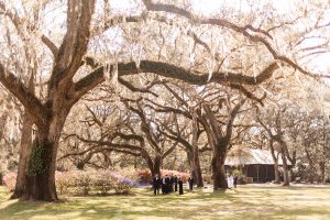 Caitlin and Stephen's Romantic Wedding at Eden Gardens