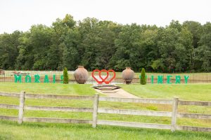 Beautiful Citrus Themed Styled Shoot at Morais Vineyards