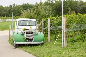 Beautiful Citrus Themed Styled Shoot at Morais Vineyards