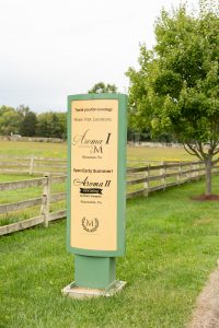 Beautiful Citrus Themed Styled Shoot at Morais Vineyards