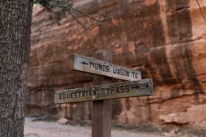 Jeep Elopement in Sedona, AZ_Rooted in Wild Elopements _KRL04987_low Timeless Styled Shoot Elopement in the Red Rocks of the Sedona Desert