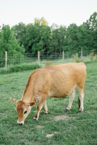 Jayden and Ethan’s Rustic Wedding at Full Bloom Farm