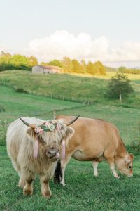 Jayden and Ethan’s Rustic Wedding at Full Bloom Farm
