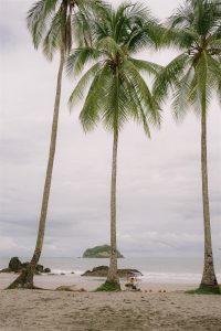 Colleen and Javier's Tropical Jungle Wedding in Costa Rica's Manuel Antonio