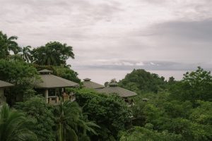 Colleen and Javier's Tropical Jungle Wedding in Costa Rica's Manuel Antonio