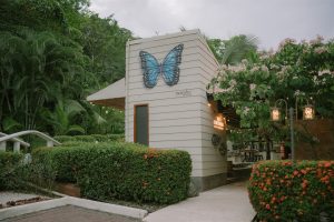 Colleen and Javier's Tropical Jungle Wedding in Costa Rica's Manuel Antonio