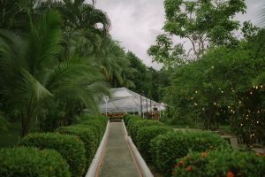 Colleen and Javier's Tropical Jungle Wedding in Costa Rica's Manuel Antonio