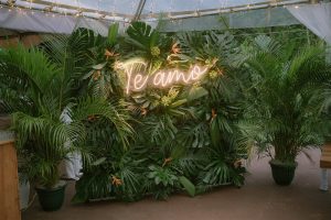 Colleen and Javier's Tropical Jungle Wedding in Costa Rica's Manuel Antonio
