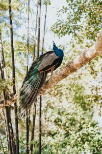 Michelle and Anthony's Elegant Outdoor Wedding at The Barn 305