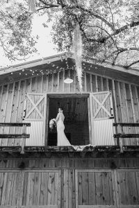 Michelle and Anthony's Elegant Outdoor Wedding at The Barn 305